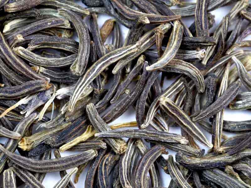 تصویر 2 از خرید و قیمت زیره سیاه + فروش عمده